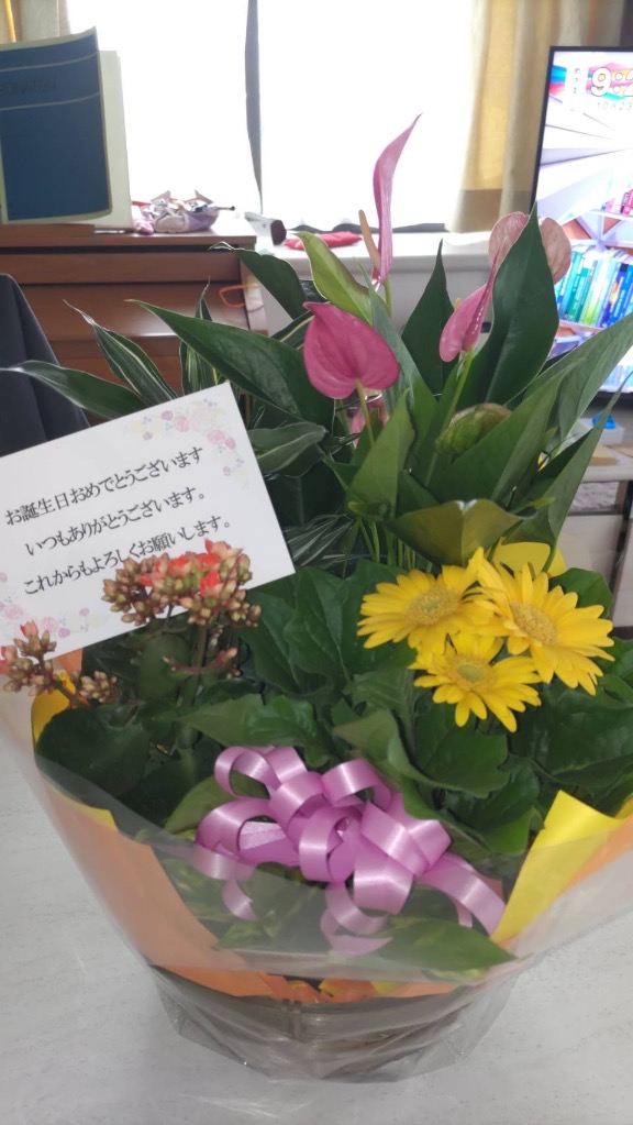 フラワーマーケット花由 季節のおまかせ 花鉢 と グリーン の フラワーマーケット花由 季節のおまかせ 花鉢 と グリーン の