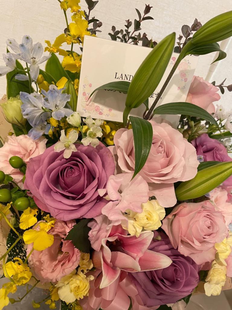 全体のレビュー画像 | 4-0