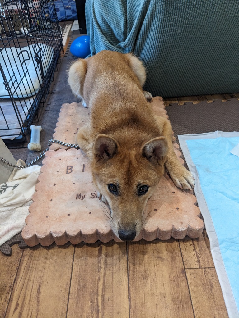 3件目のレビュー画像 | 0