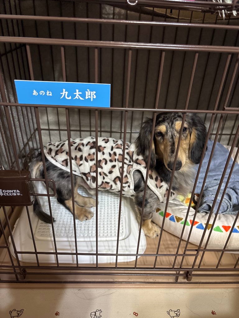 全体のレビュー画像 | 0-0
