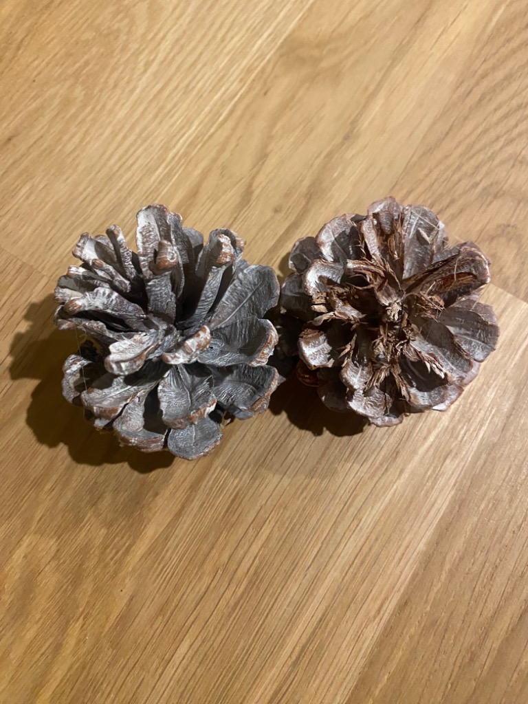 DEPOS クリスマスリース リース 玄関 天然素材 直径36cm 北欧