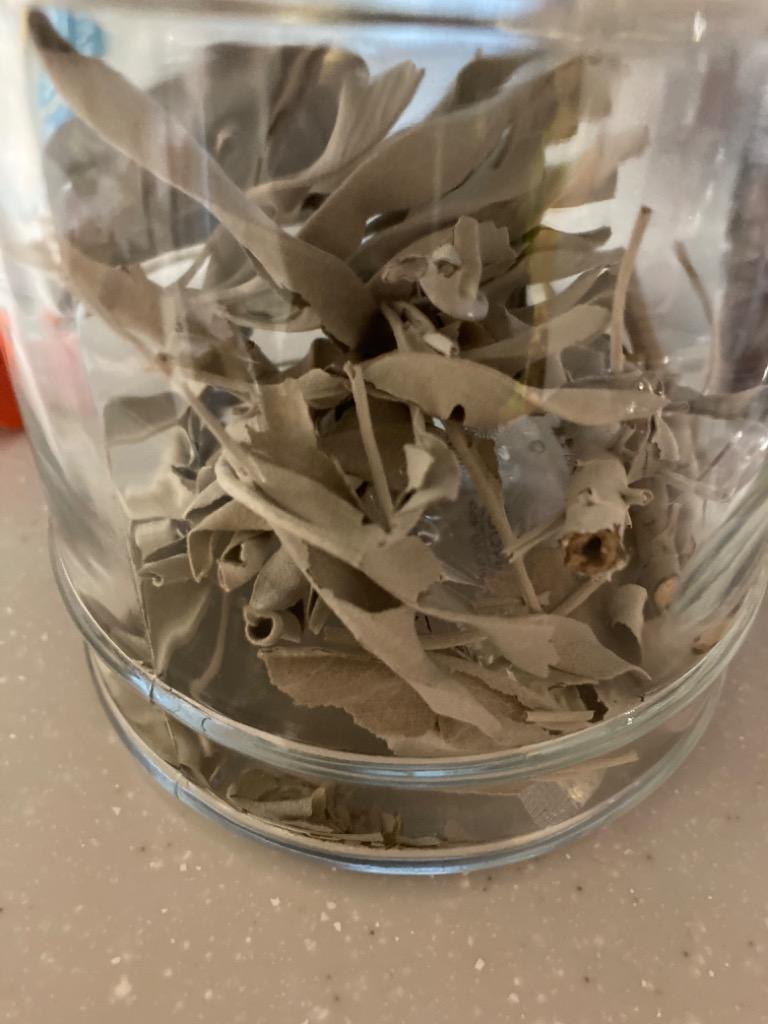 2件目のレビュー画像 | 0