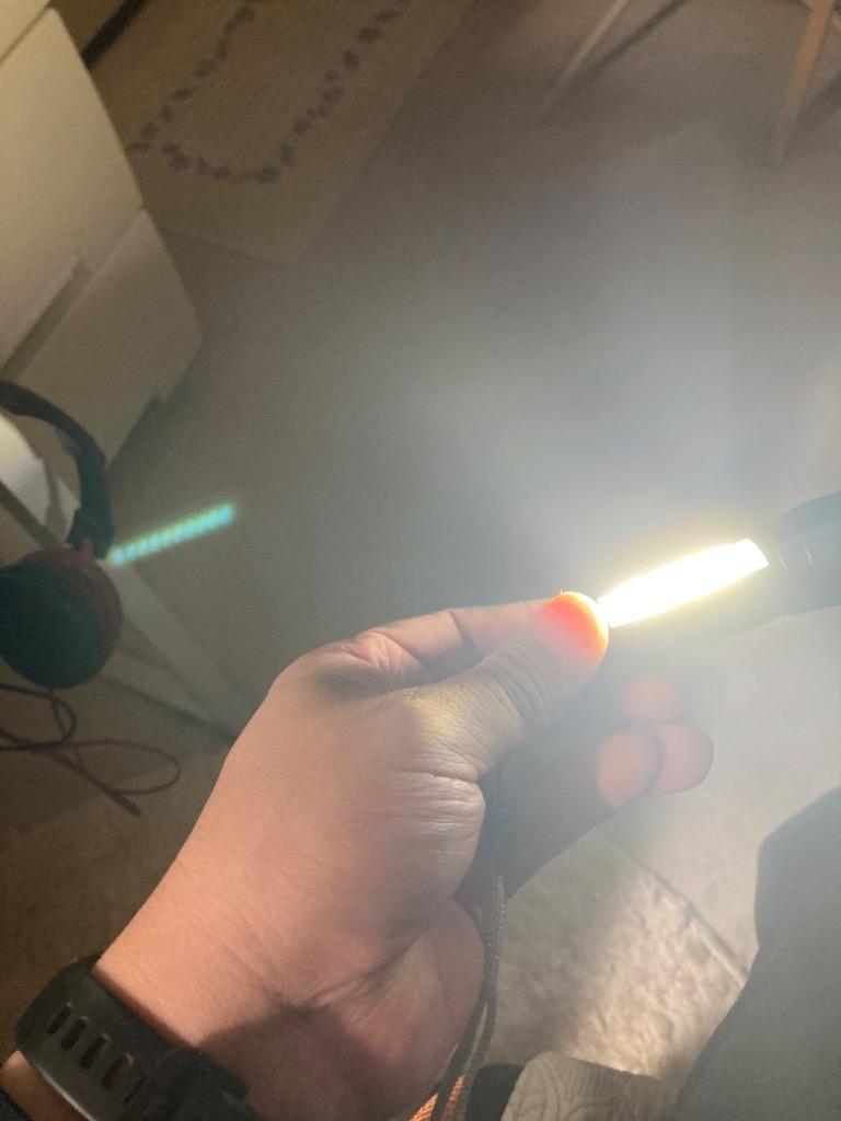 全体のレビュー画像 | 2-1