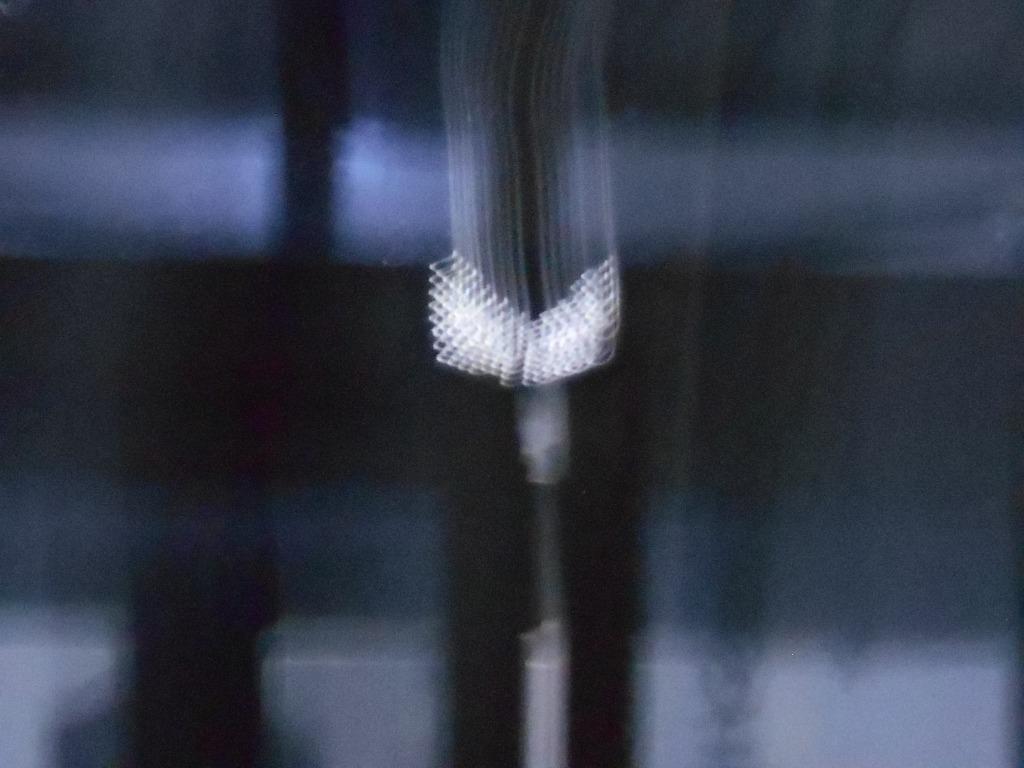 全体のレビュー画像 | 1-0