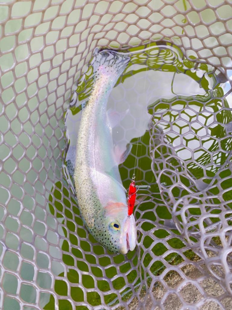 4件目のレビュー画像 | 0