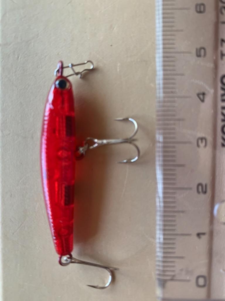 7件目のレビュー画像 | 0