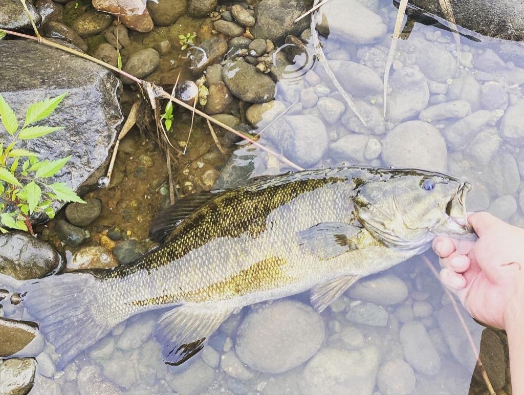 1件目のレビュー画像 | 0