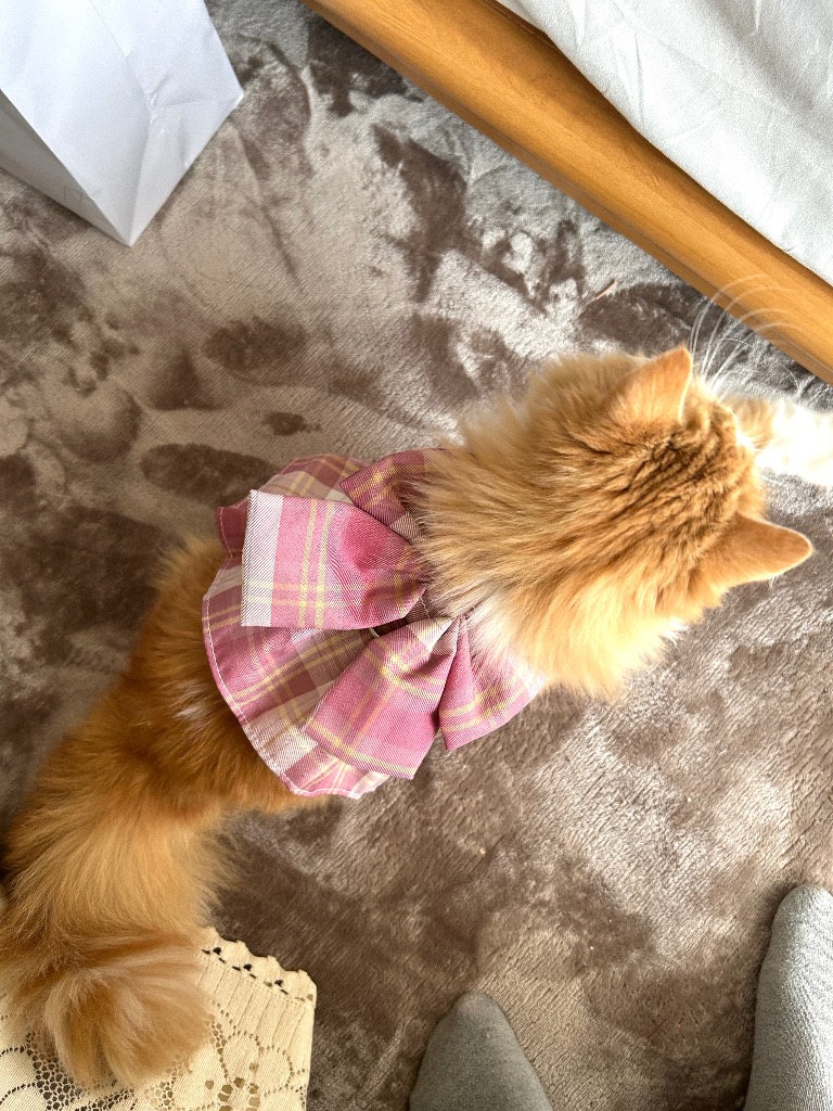 全体のレビュー画像 | 0-0