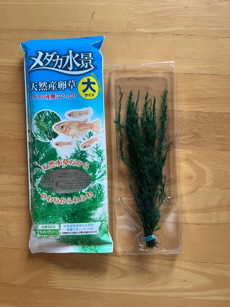 1件目のレビュー画像 | 0