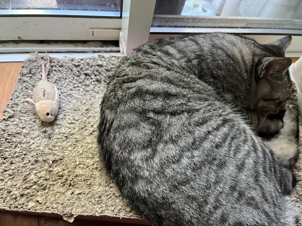 1件目のレビュー画像 | 0