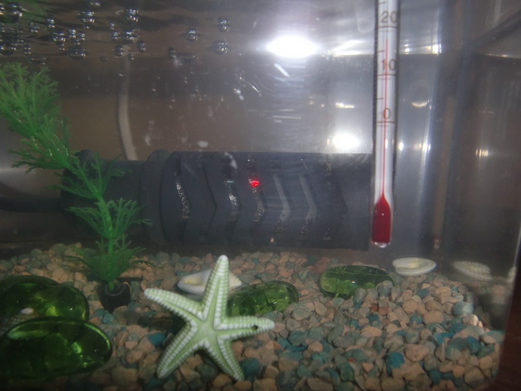 1件目のレビュー画像 | 0