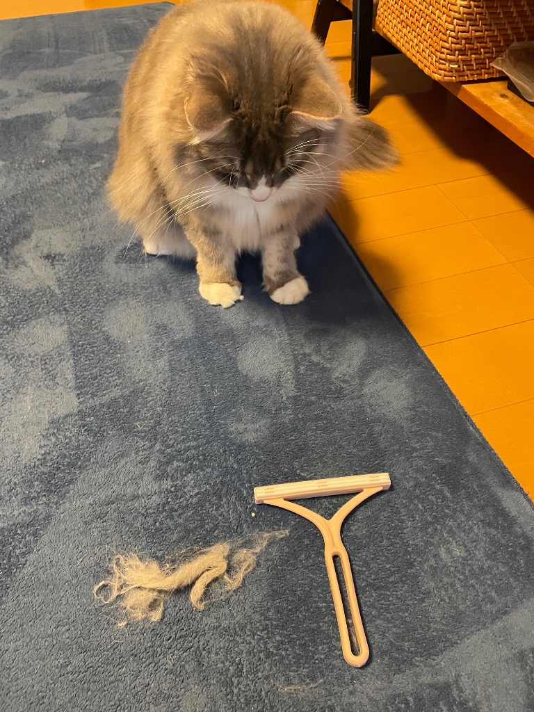 全体のレビュー画像 | 0-0