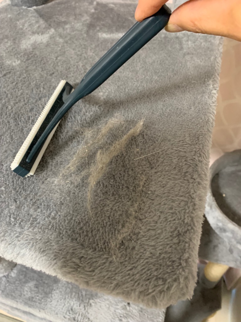 全体のレビュー画像 | 1-0