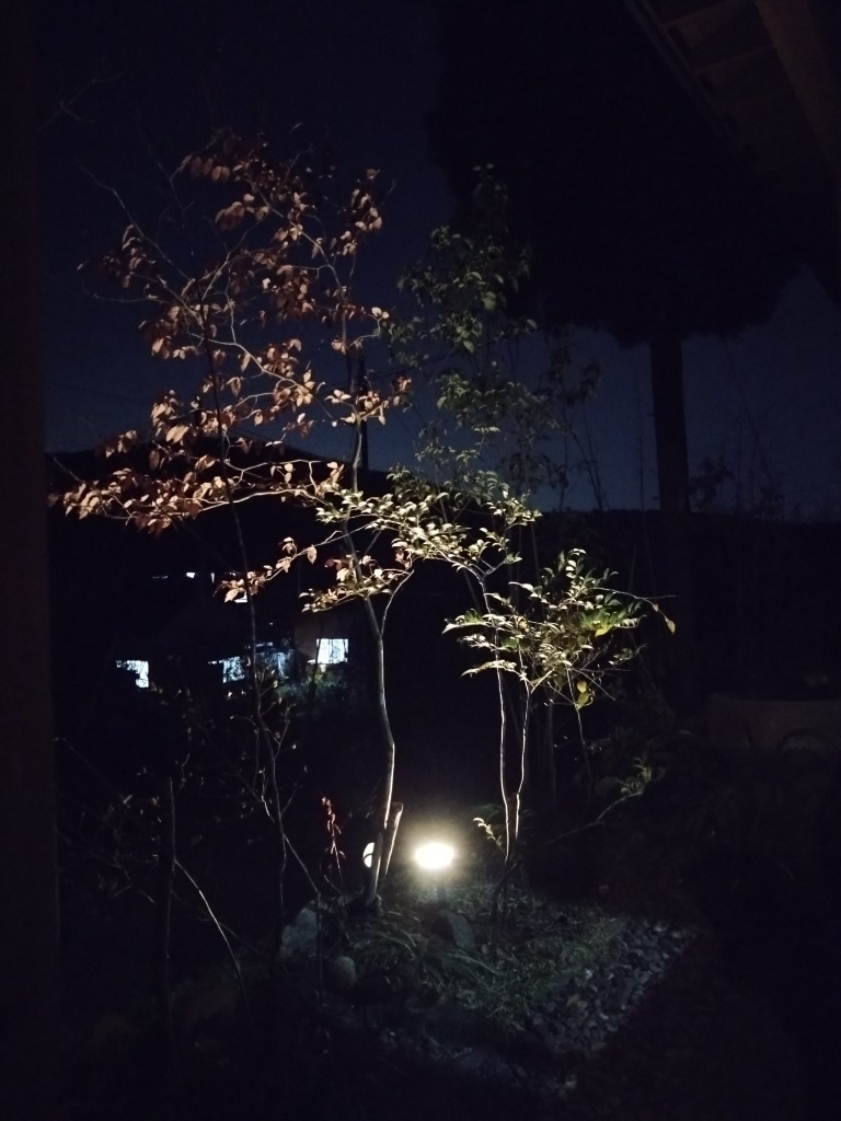 全体のレビュー画像 | 0-0