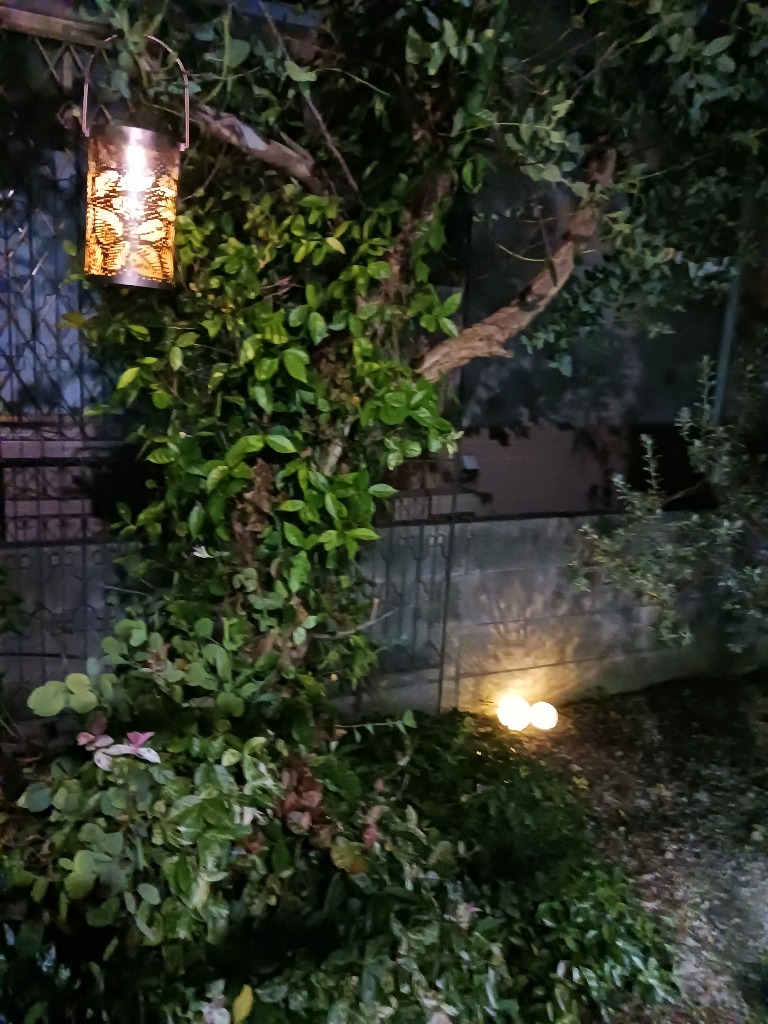 全体のレビュー画像 | 1-0