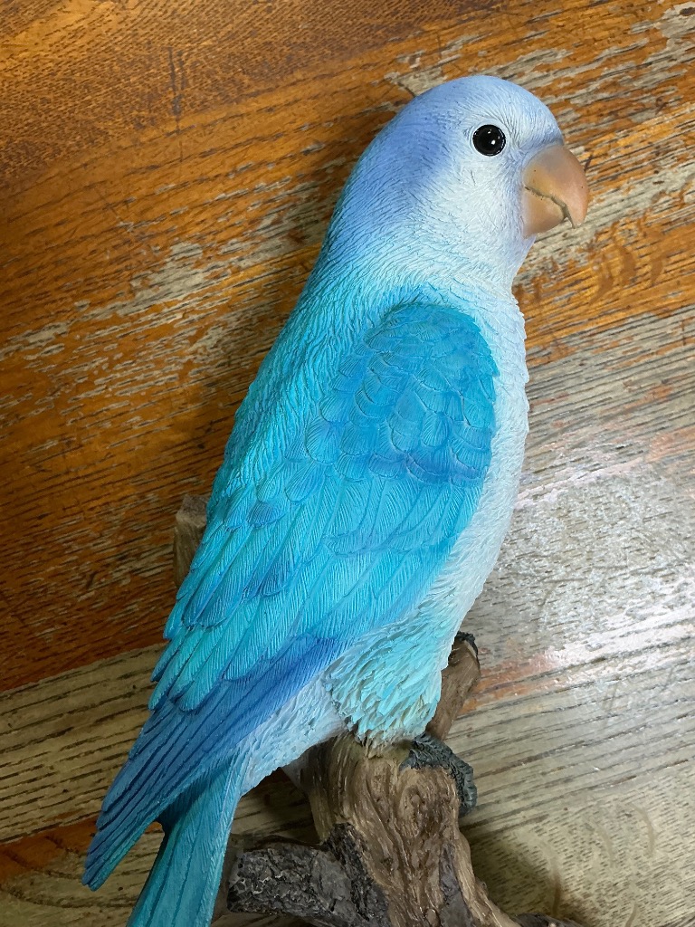バカラ、インコ、置物 インコ 置物 ガーデニング 雑貨 ガーデン オーナメント オブジェ