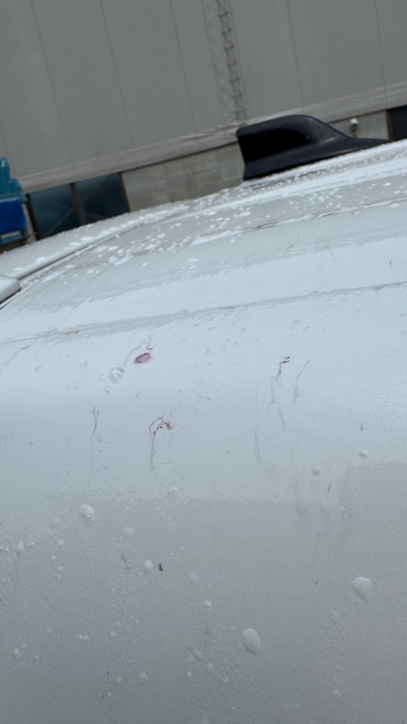 全体のレビュー画像 | 0-3