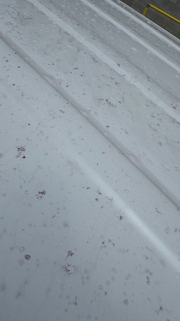 全体のレビュー画像 | 0-1