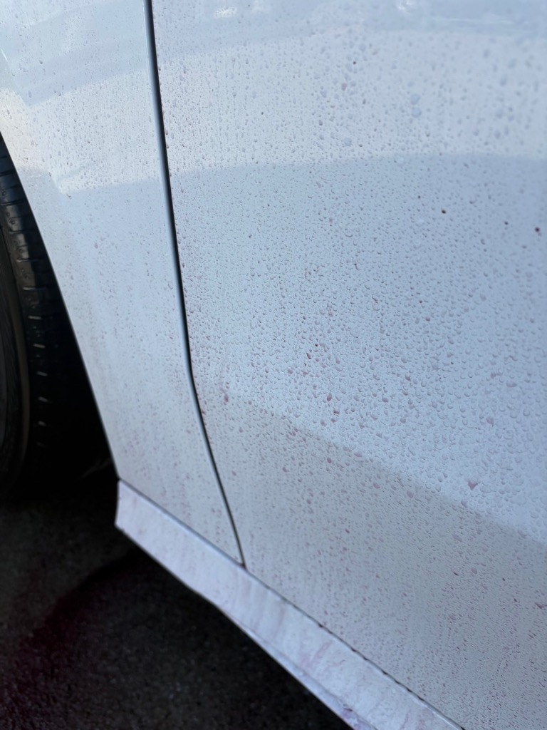 全体のレビュー画像 | 3-4