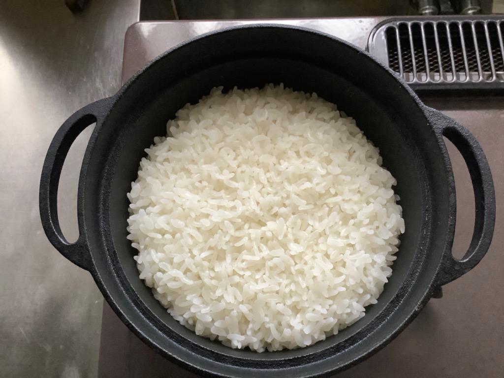 ハリオ ゼブラン ライスオーブン Zebrang ご飯釜 1〜2合用 ハリオ ゼブラン ライスオーブン Zebrang ご飯釜 1〜2合用