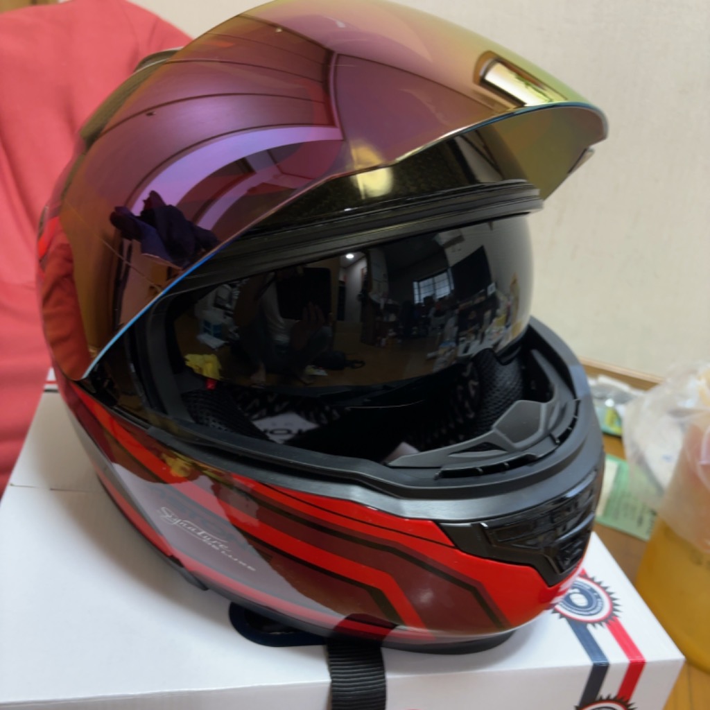 バイクヘルメット | ASTONE カーボンシステムヘルメット RT1500