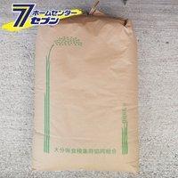 ヒノヒカリ 玄米 30kg 令和5年産 [九州 大分県産 ひのひかり 30kg 米