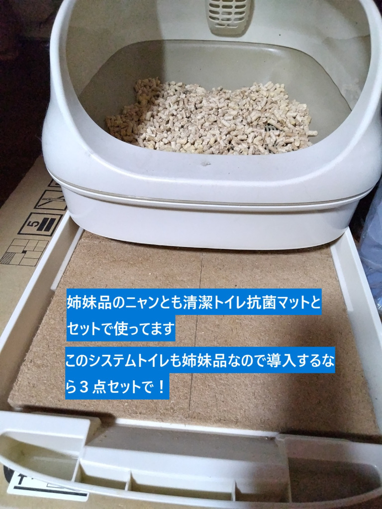 レビュー画像