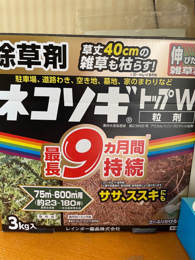 レビュー画像