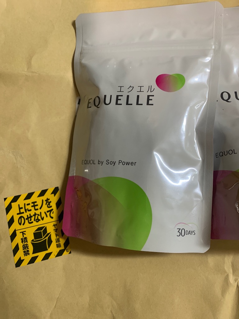 EQUELLE エクエル　２袋セット エクエル 120粒入 2個セット パウチ エクオール 大塚製薬