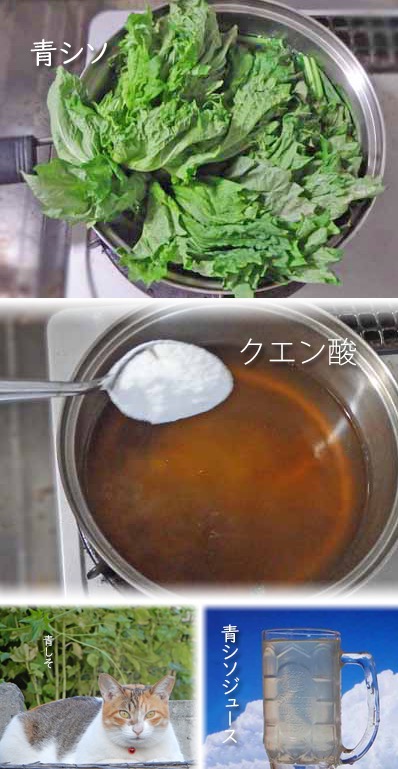 全体のレビュー画像 | 13-0