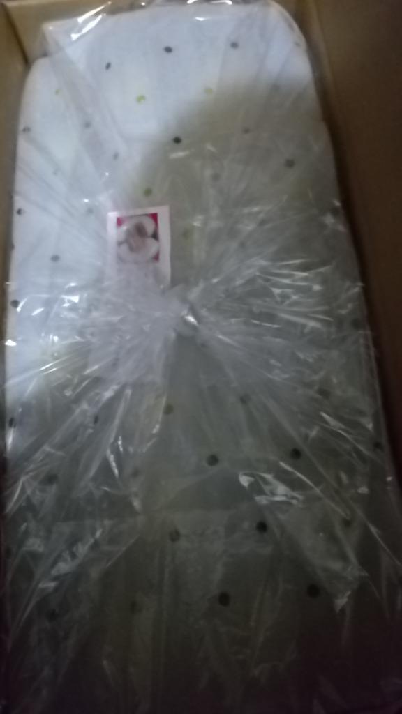 否バラ詰め A級品・王林・20kg（20キロ）用木箱サイズ ダンボール詰 否バラ詰め【B級品・王林・20kg（20キロ）用 木箱 サイズ