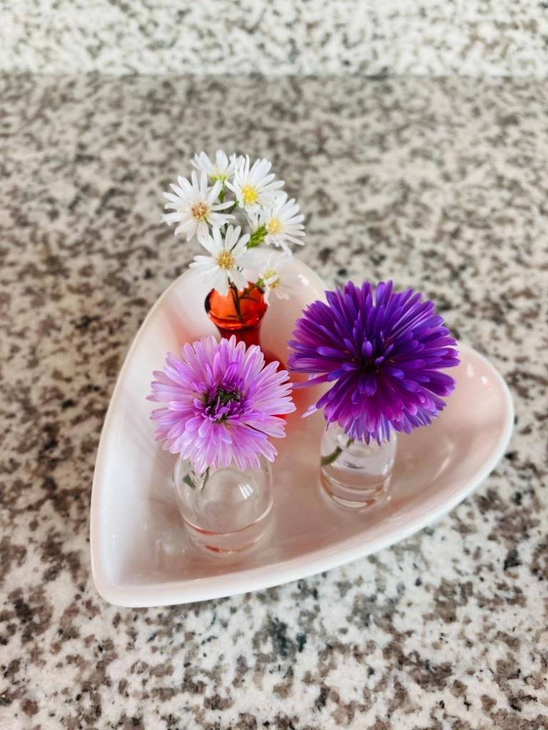 花瓶 フラワーベース［ Malmaison Bottle FEE ］ ミニサイズ 5個セット 全3色 :mag-57788:町の小さな雑貨屋さんアポン  apoml - 通販 - Yahoo!ショッピング