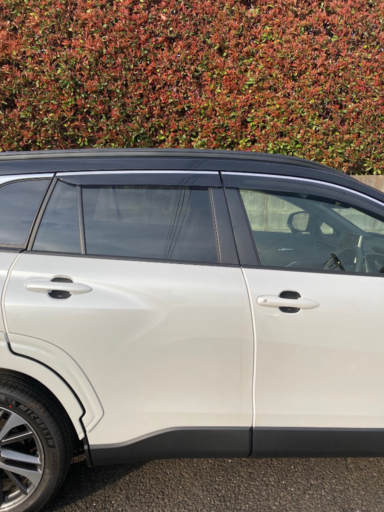 全体のレビュー画像 | 0-1