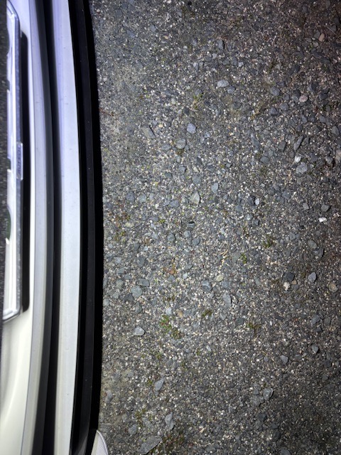 全体のレビュー画像 | 0-0