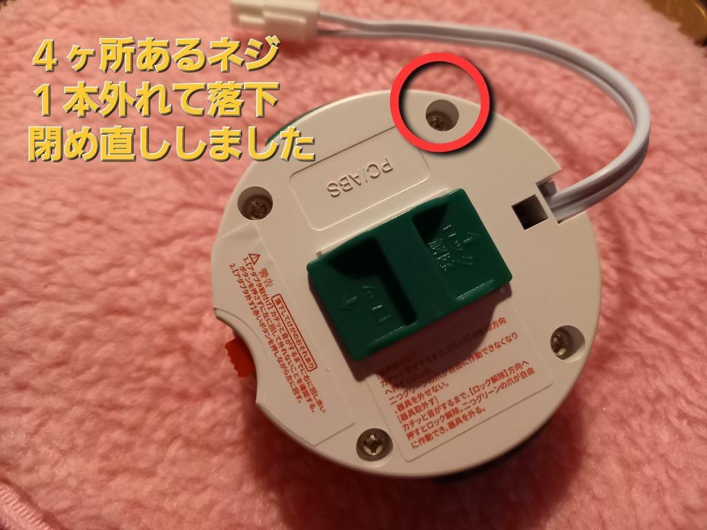 レビュー画像
