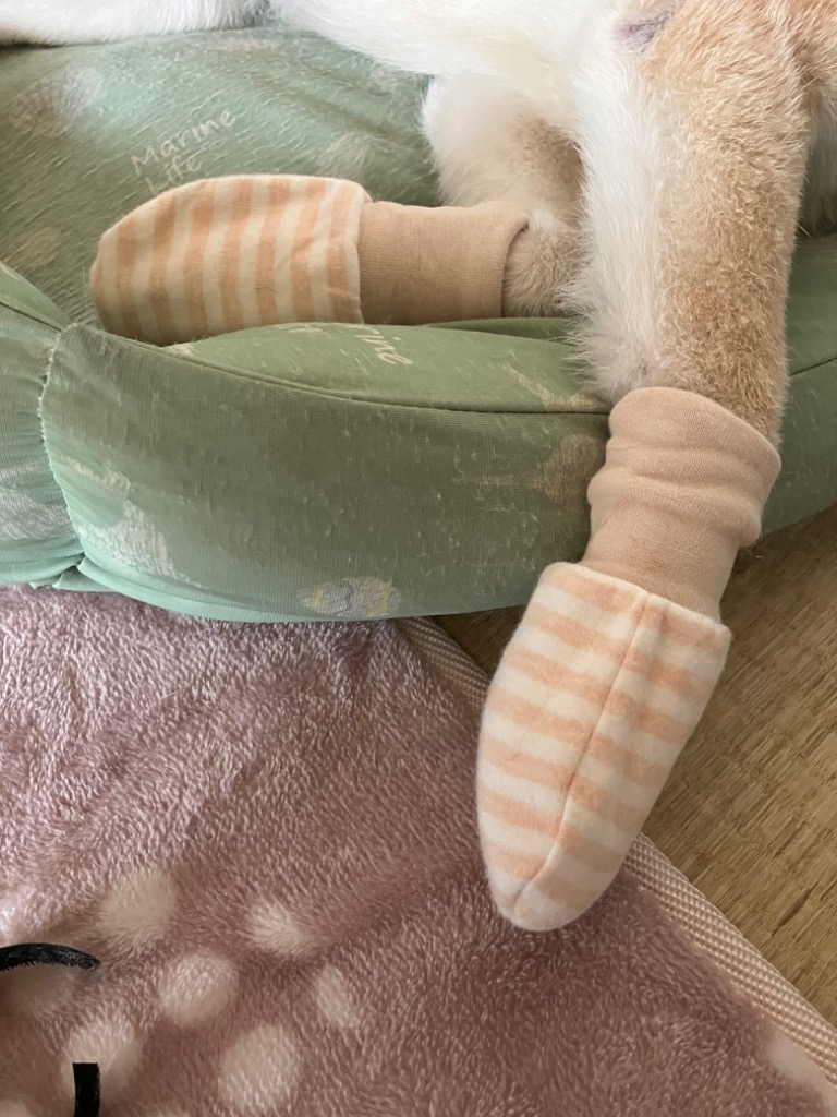 レビュー画像