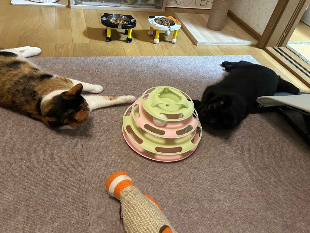 レビュー画像