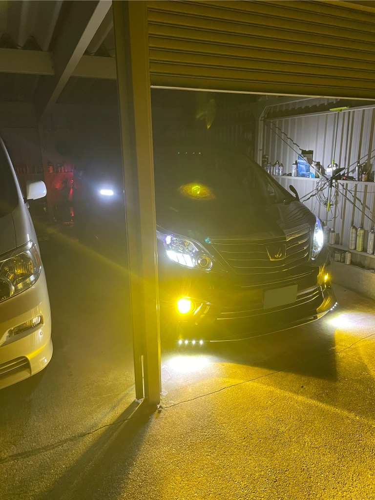20系 アルファード ウェルカムランプ LED 純白 純正加工 全