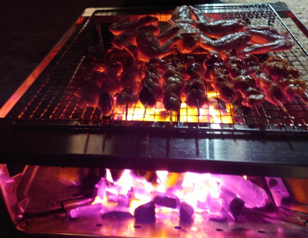 snow peak（スノーピーク） 野遊びセット 22秋限定焚火台L BBQ 