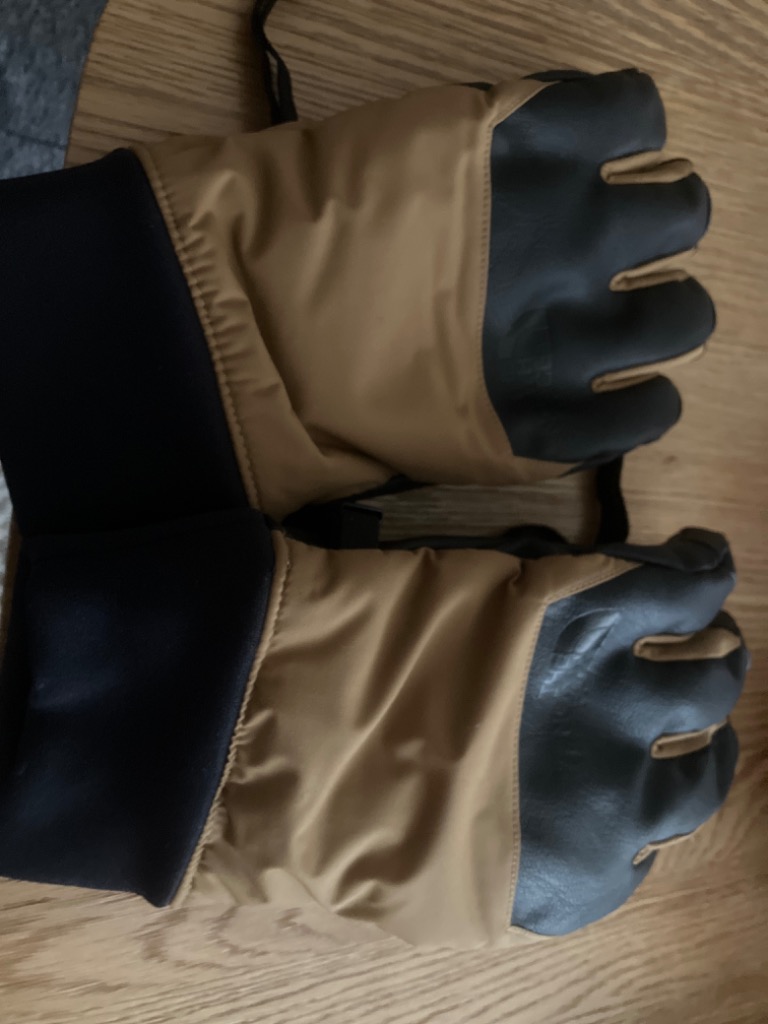 THE NORTH FACE ザ・ノース・フェイス スノーボードグローブ