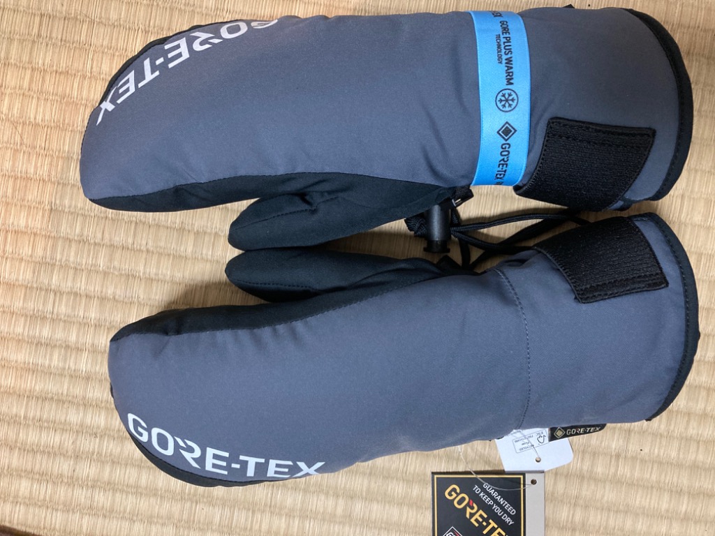 スキースノーボード グローブ 手袋 ゴアテックス ミトン メンズ