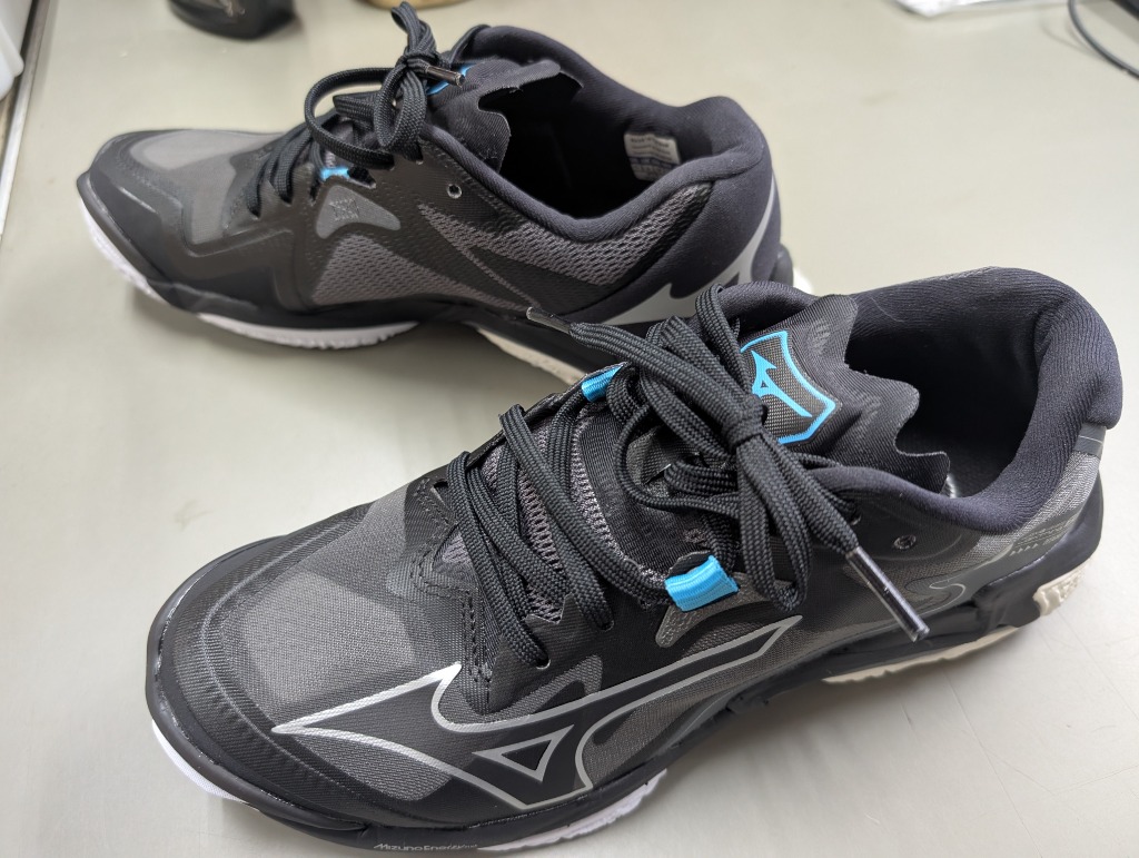 MIZUNO（ミズノ） バレーボールシューズ メンズ レディース ウエーブ