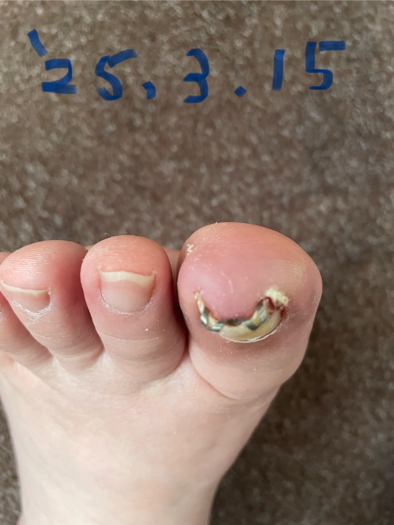 全体のレビュー画像 | 3-0