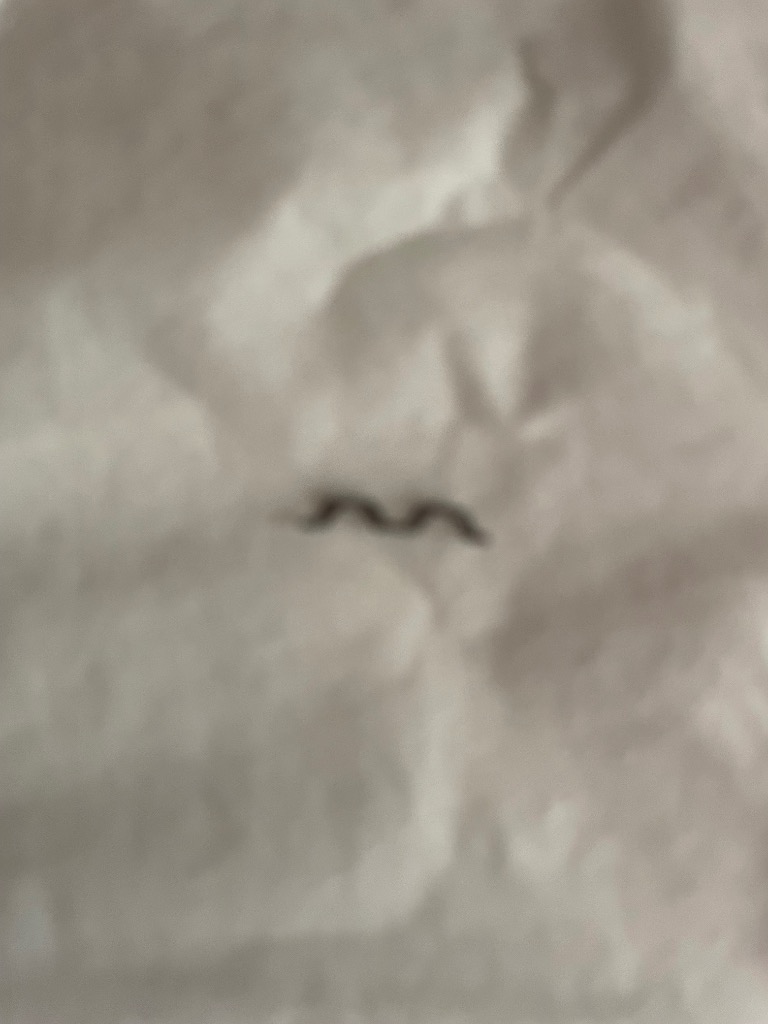 全体のレビュー画像 | 0-0