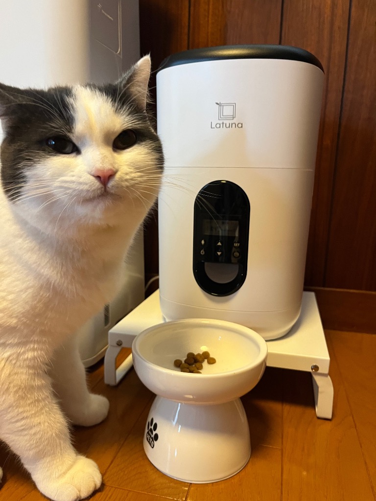 全体のレビュー画像 | 6-2