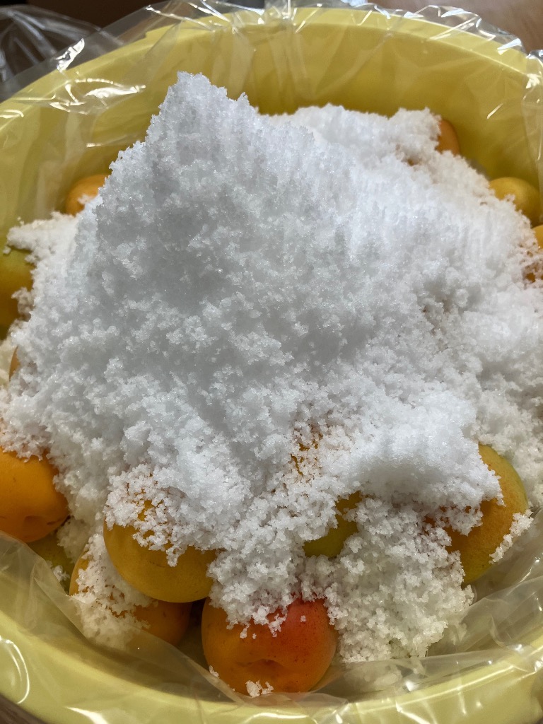 冷蔵）青森の色梅（完熟梅）[豊後梅ぶんごうめ]2L〜3Lサイズ混合約5kg