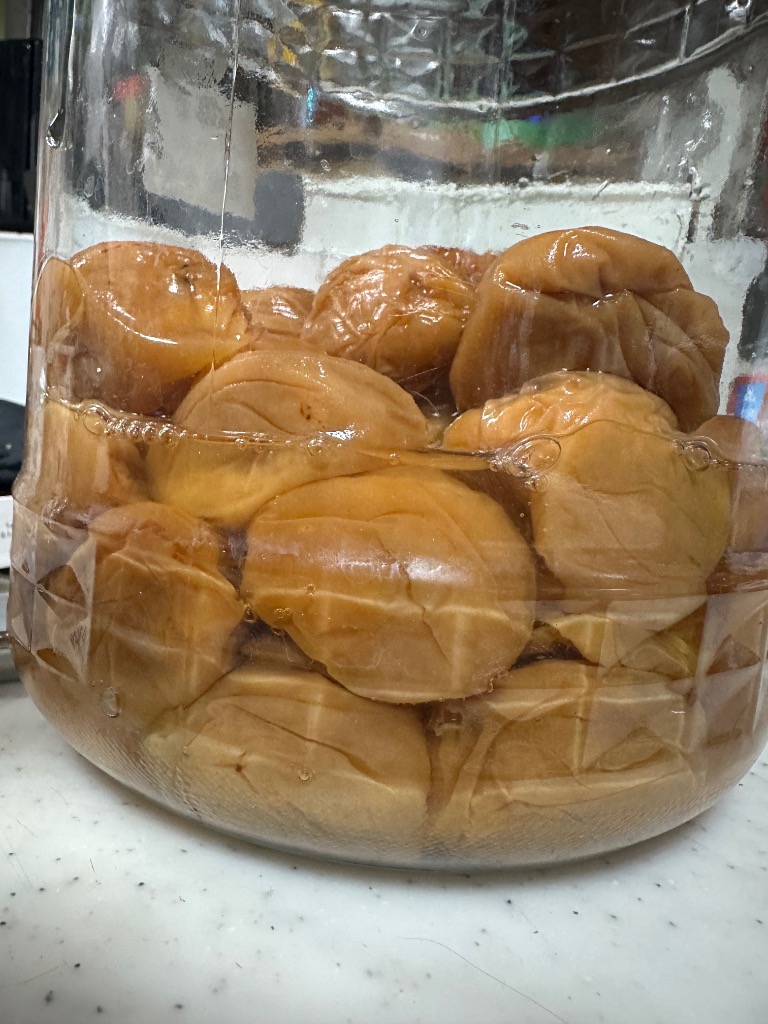 冷蔵）青森の色梅（完熟梅）[豊後梅ぶんごうめ]4L〜5Lサイズ混合約5kg