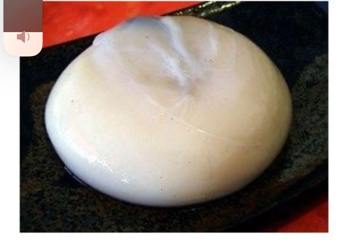 タコの卵 たこの卵 冷凍タコの卵 たこまんま ミズタコの卵 1kg Takotmg0005 北海道ひっぱりだこ 通販 Yahoo ショッピング
