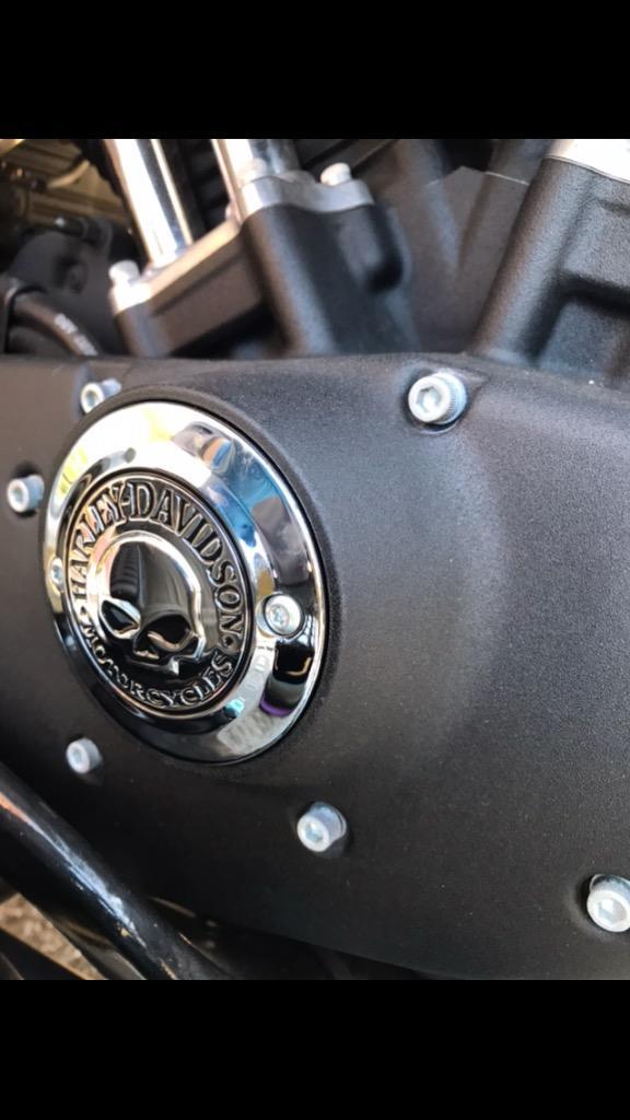 Harley Davidson 32972-04A ハーレー純正 タイマーカバー スカル