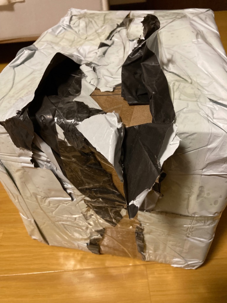 レビュー画像